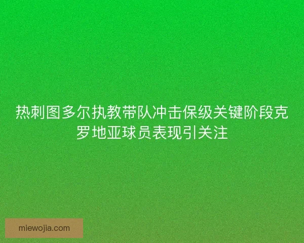 热刺图多尔执教带队冲击保级关键阶段克罗地亚球员表现引关注